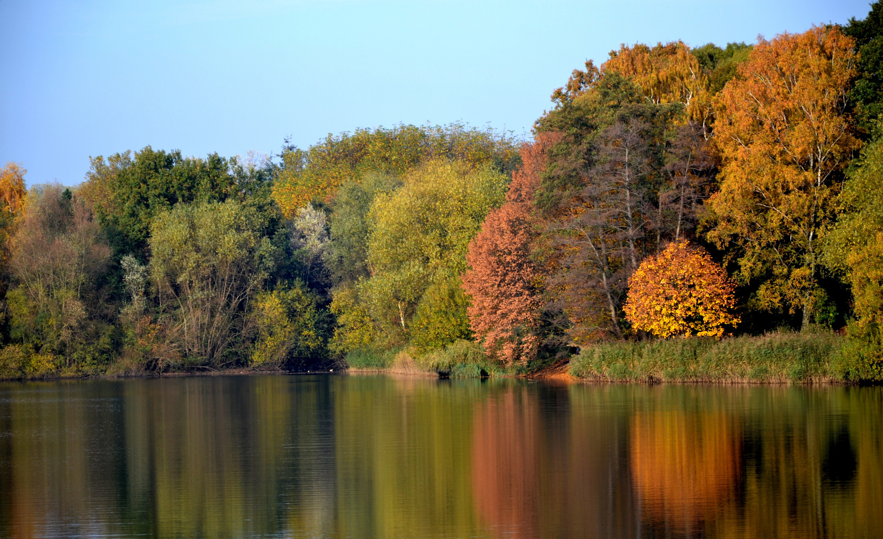 51+ Kupfer Teich, Nun wird gesagt, dass kupfer schädlich ist für