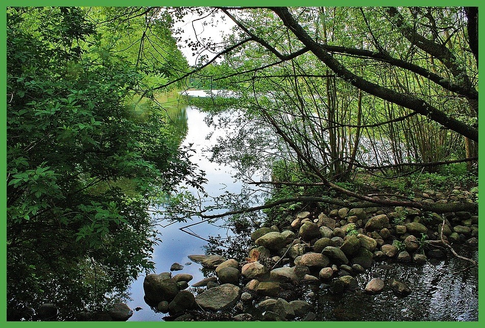 Kupferteich im Frühjahr