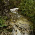 Kupitzklamm, Kärnten 2014