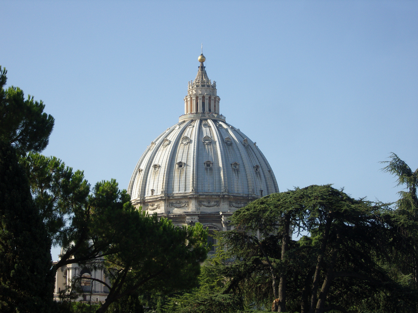 Kuppel des Petersdoms (aus dem Garten des Vaticans fotografiert)