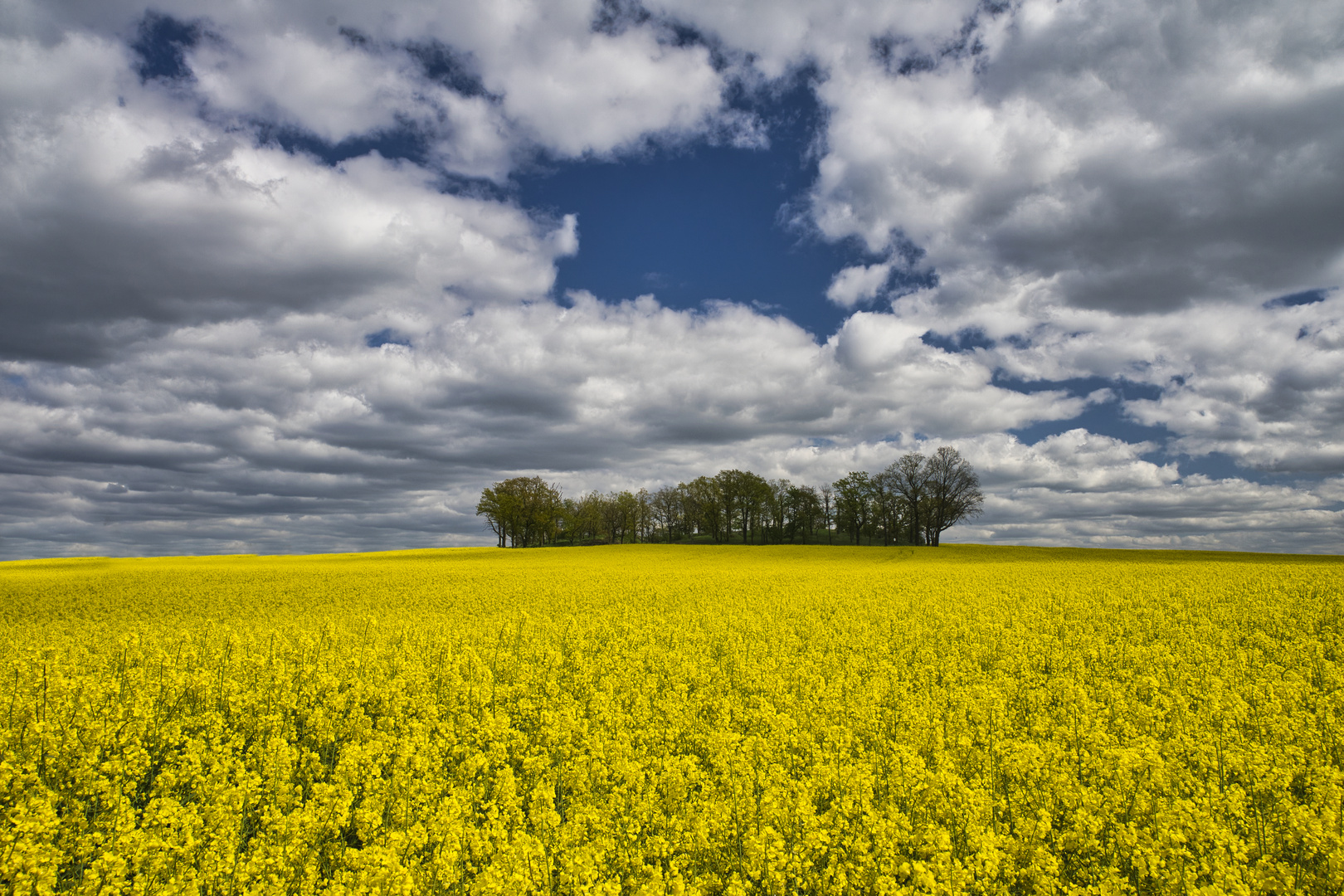 Kuppenlandschaft bei Dresden