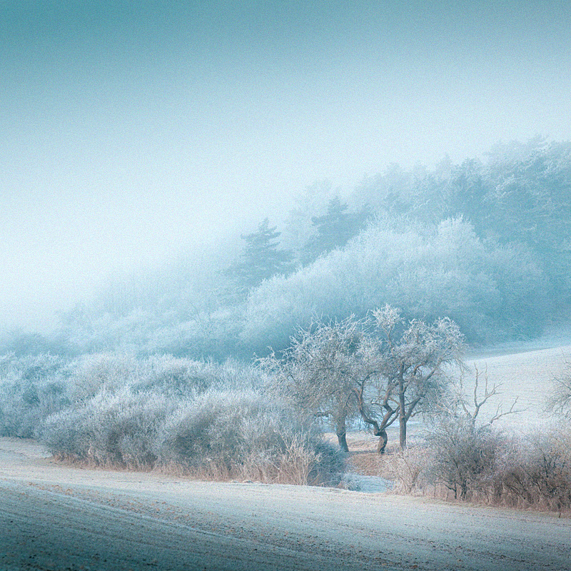 Kuppenrhön Fotoworkshop - Auf den Spuren der Rhönmaler - Frost und Eisnebel #niederrheinfoto