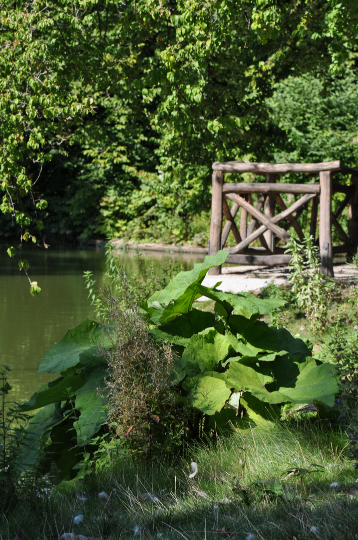 Kur Park Bad Nauheim