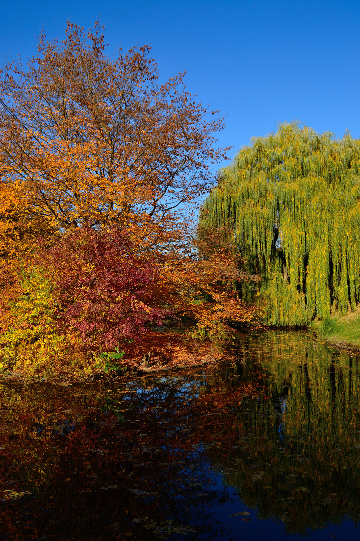 Kur-Park in Bad Nauheim