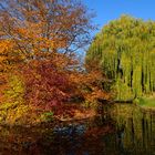 Kur-Park in Bad Nauheim