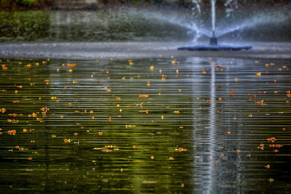 Kur-Park-Teich