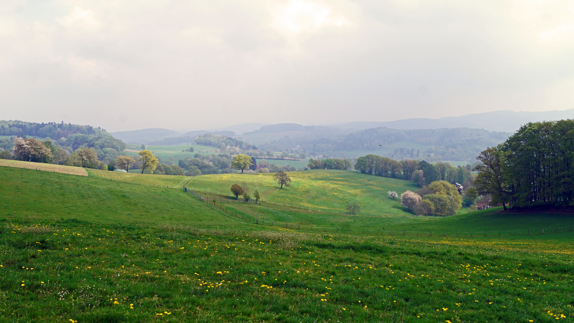 Kuralpe, Lautertal Odenwald