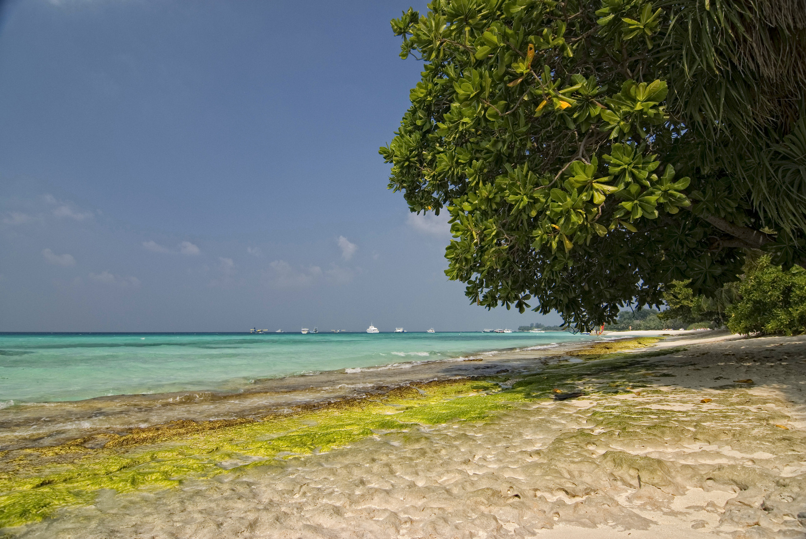 Kuramathi Beach