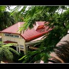 Kuranda Railway Station #1