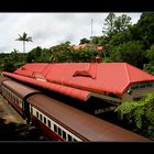 Kuranda Railway Station #2