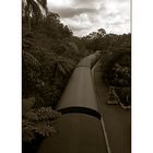 Kuranda scenic railway