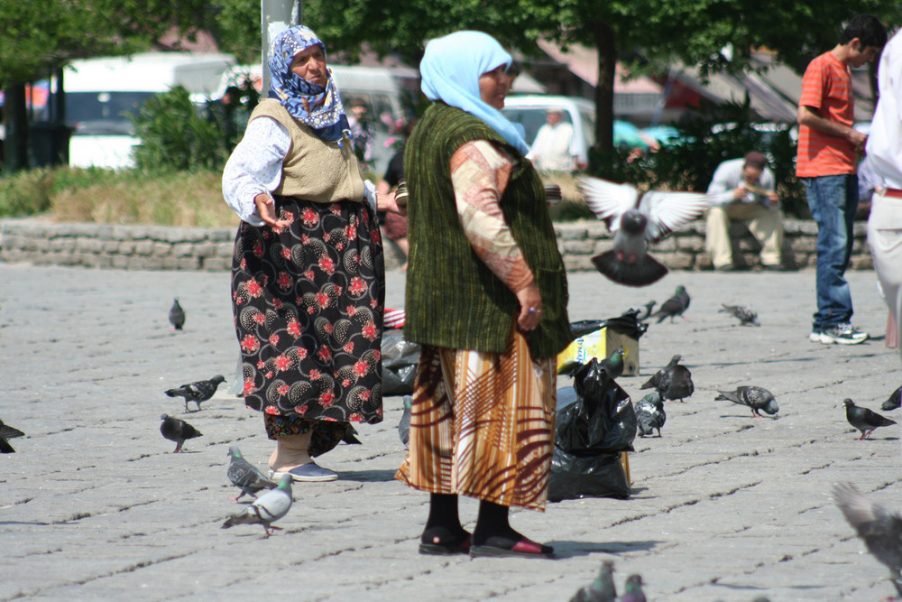 Kurdas entre palomas