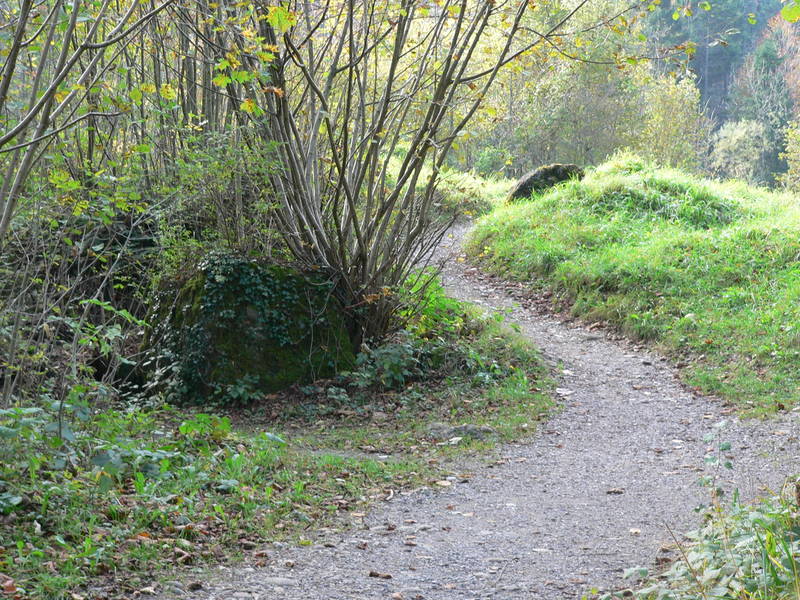 kurfenreicher Weg