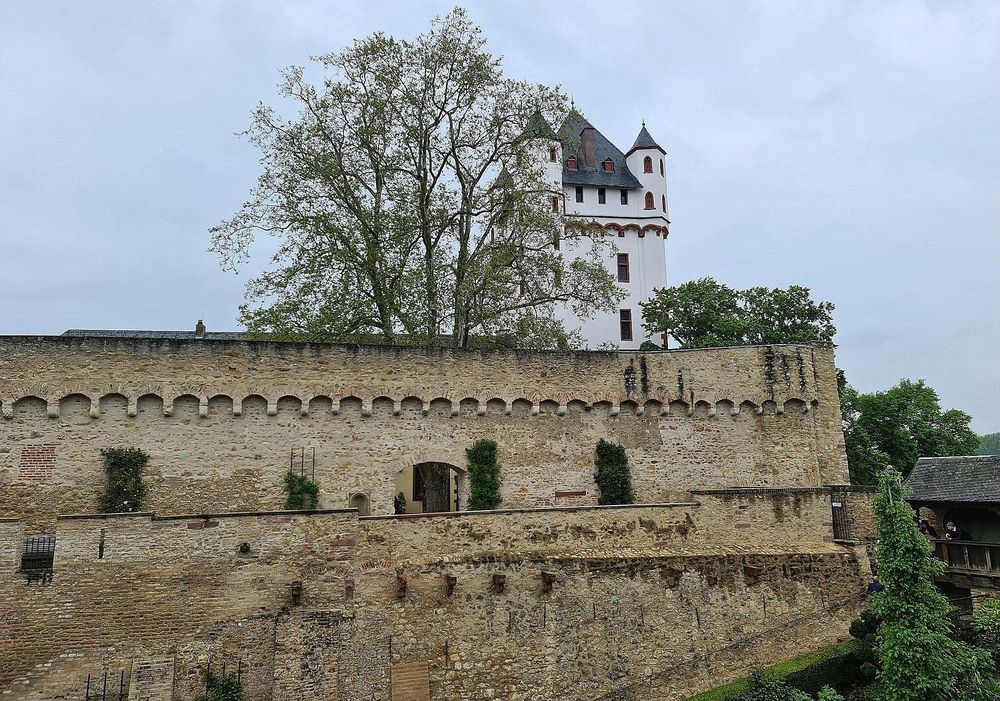 Kurfürstliche Burg Eltville