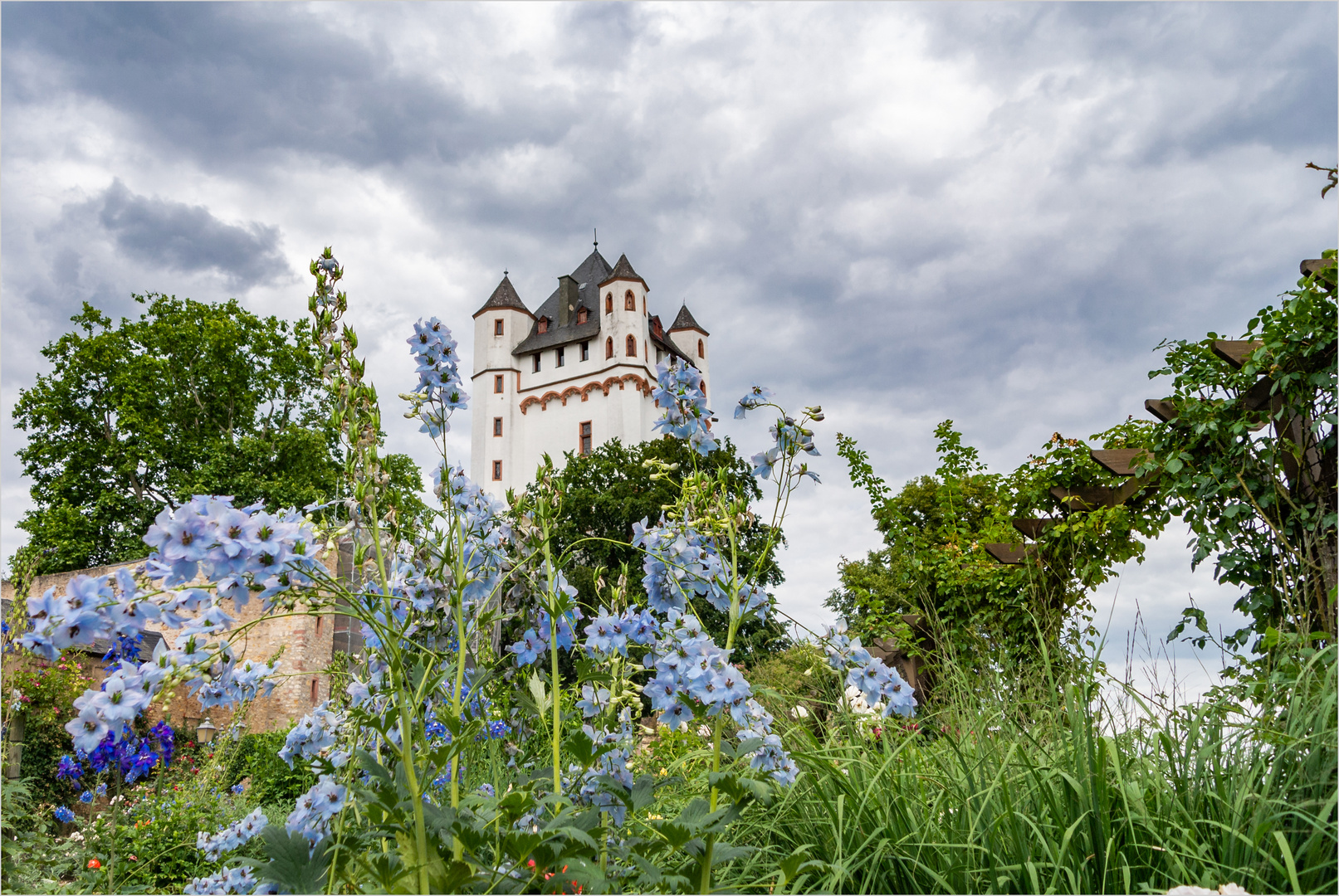 Kurfürstliche Burg Eltville