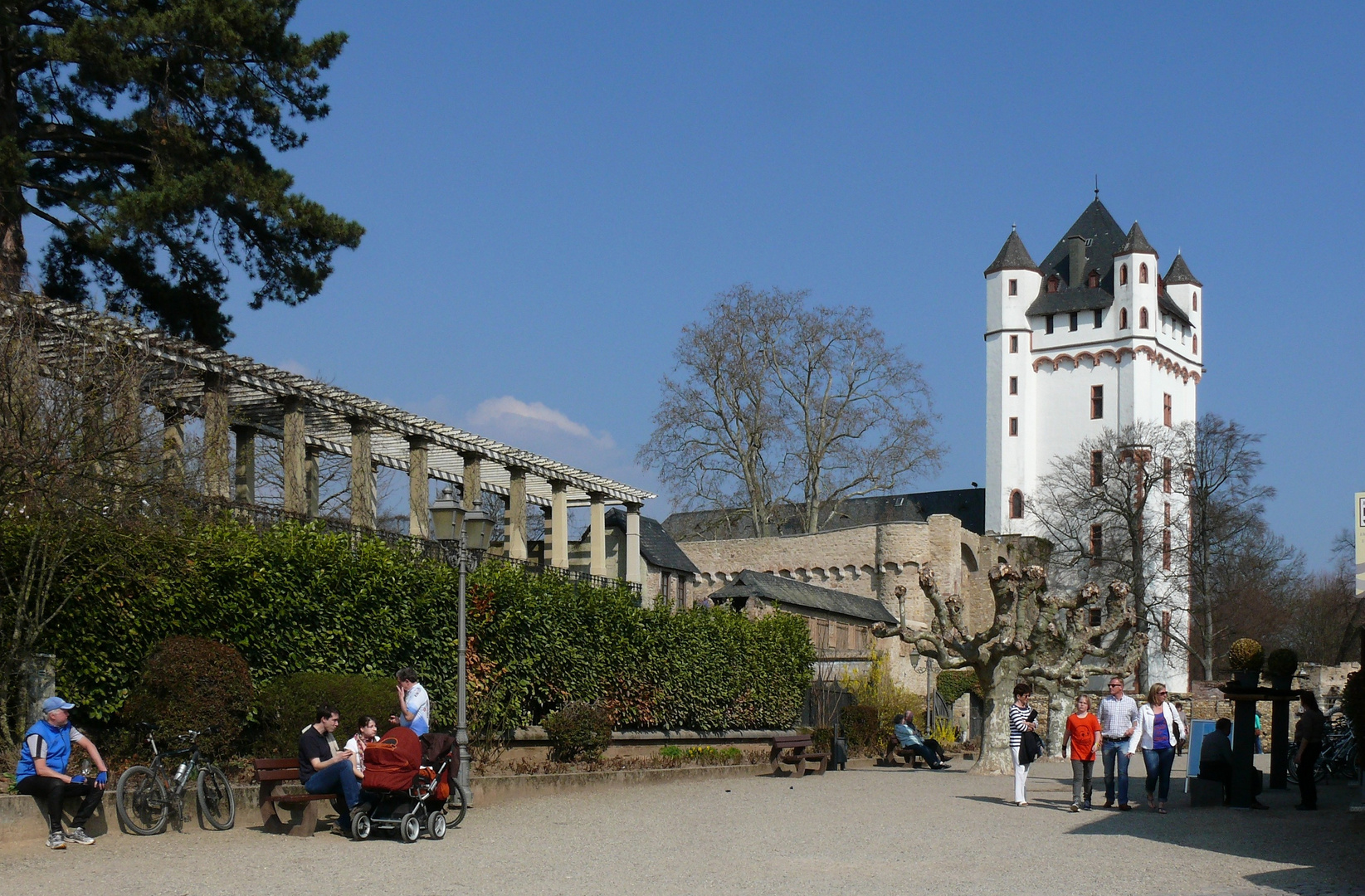 Kurfürstliche Burg Eltville