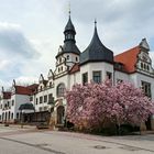 Kurhaus Bad Schmiedeberg