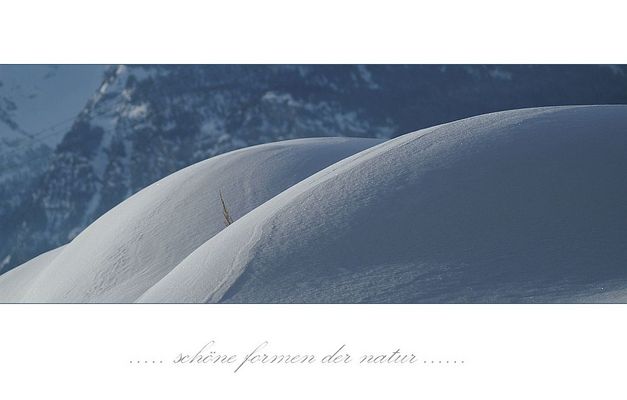 kurioses im winter....