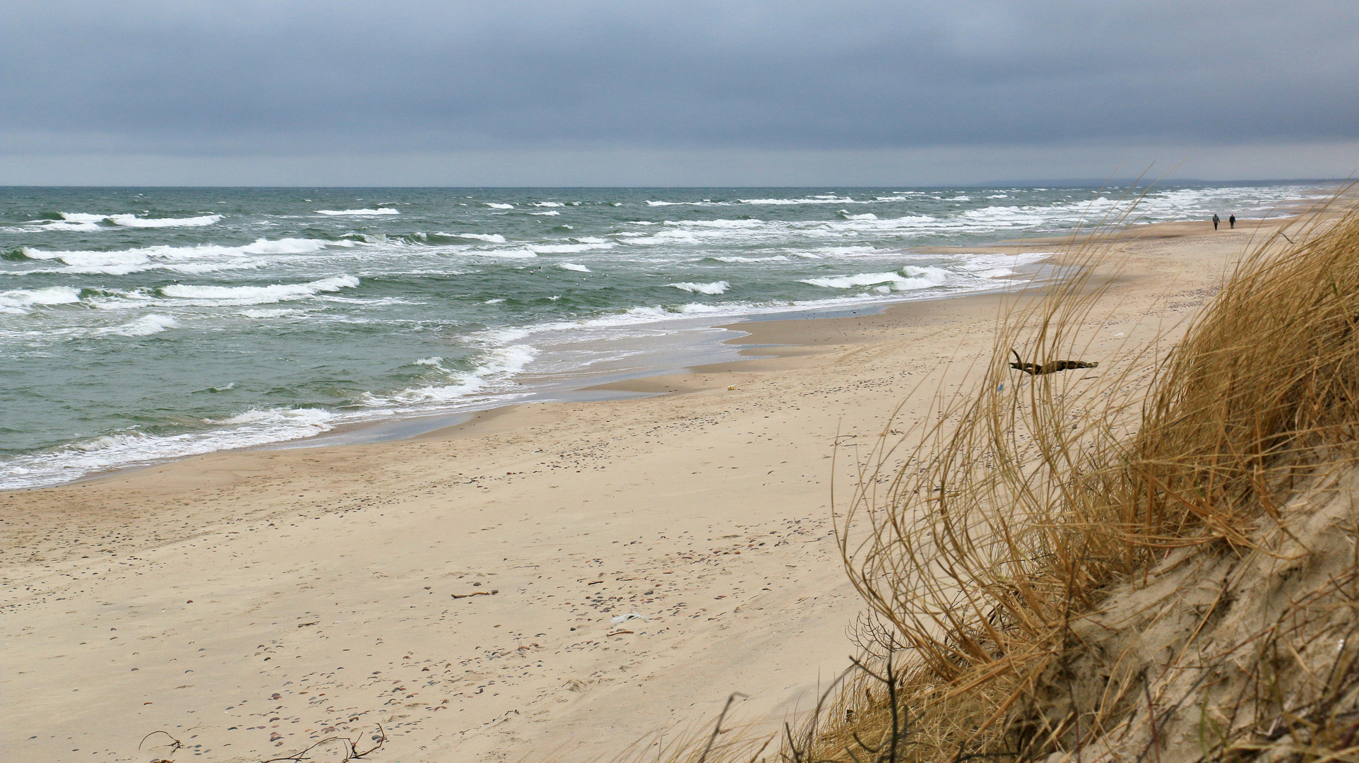 Kurische Nehrung 2