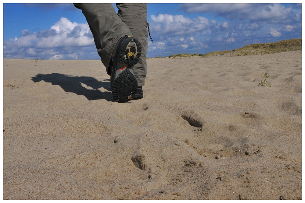 Kurische Nehrung - Sanddüne - Litauen