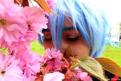 Kuroko Tetsuya Hanami Berlin