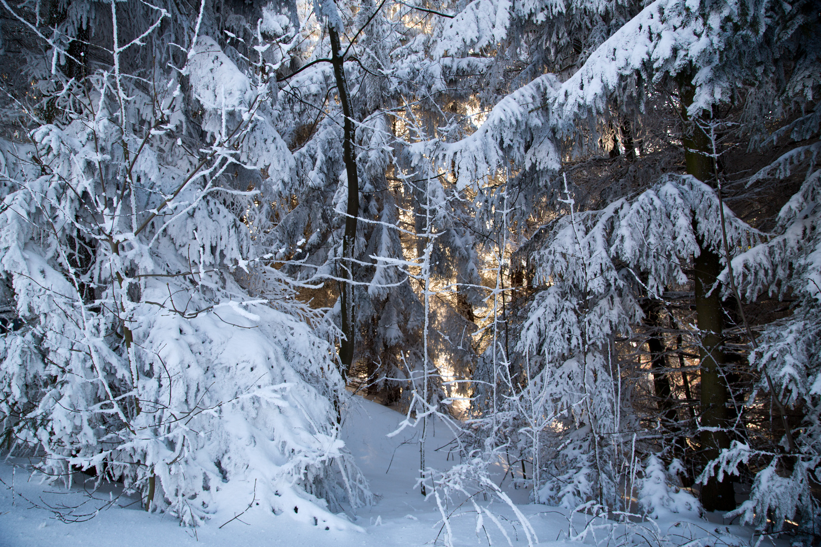 Kurort Bärenfels, Winterschlaf