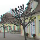 Kurpark (3D-Foto 2)