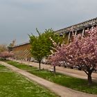 Kurpark Bad Dürrenberg