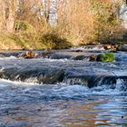 Kurpark Bad Fallingbostel 