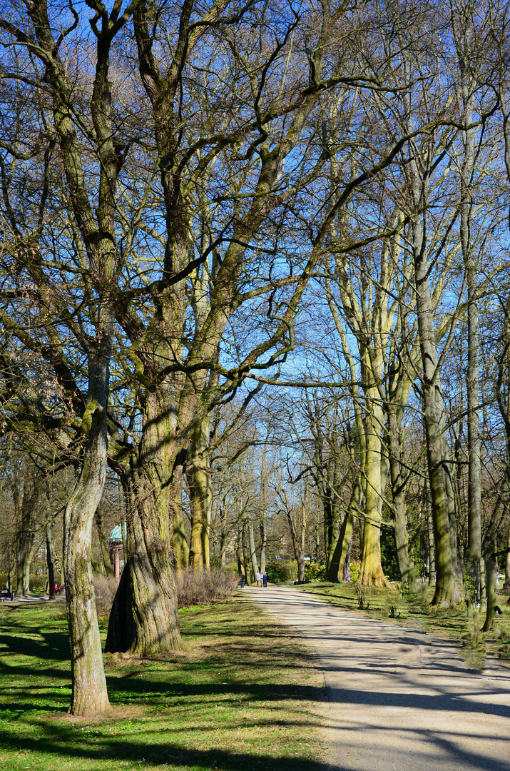 Kurpark, Bad Homburg