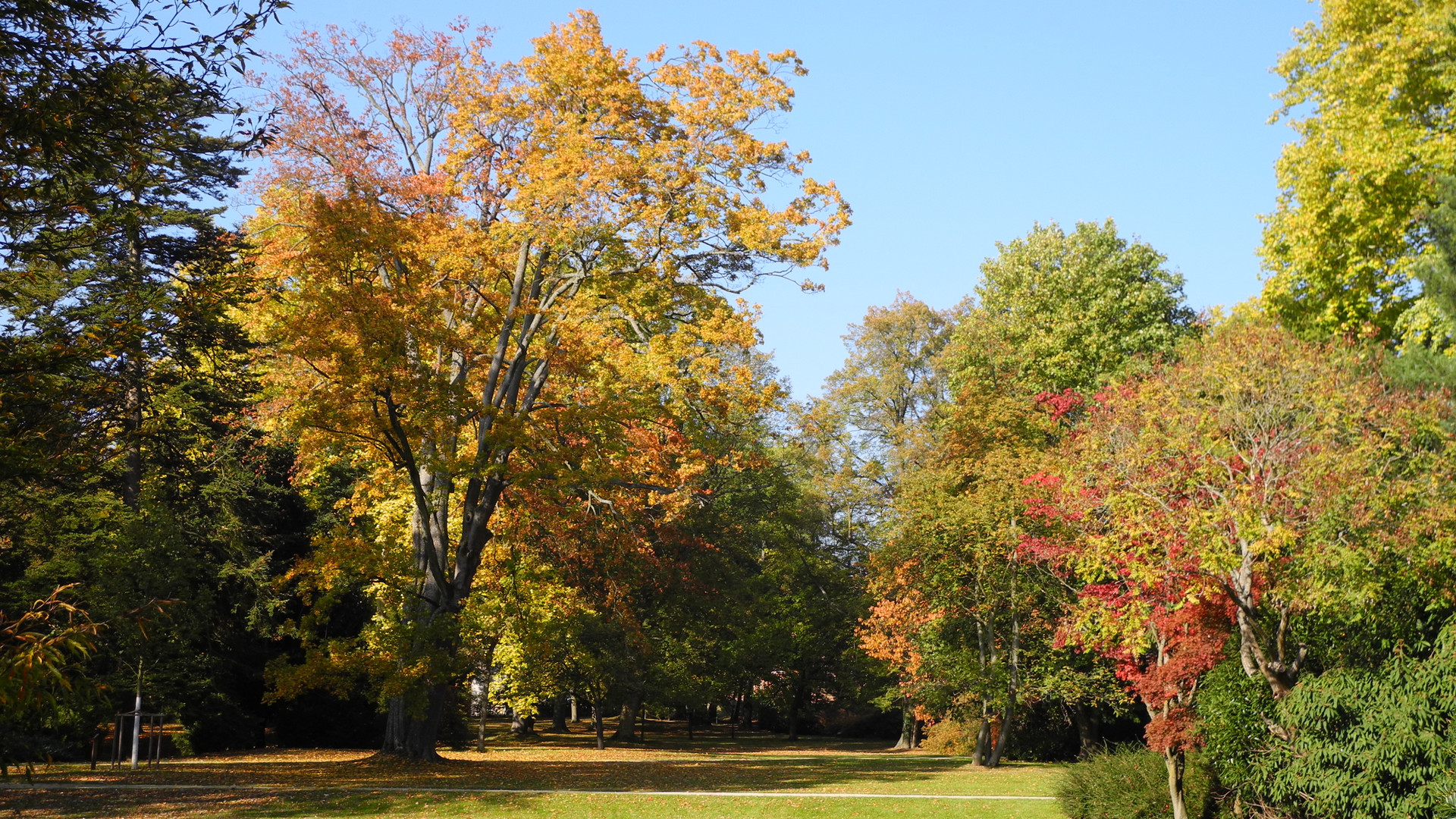 Kurpark Bad Homburg