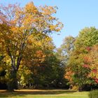 Kurpark Bad Homburg