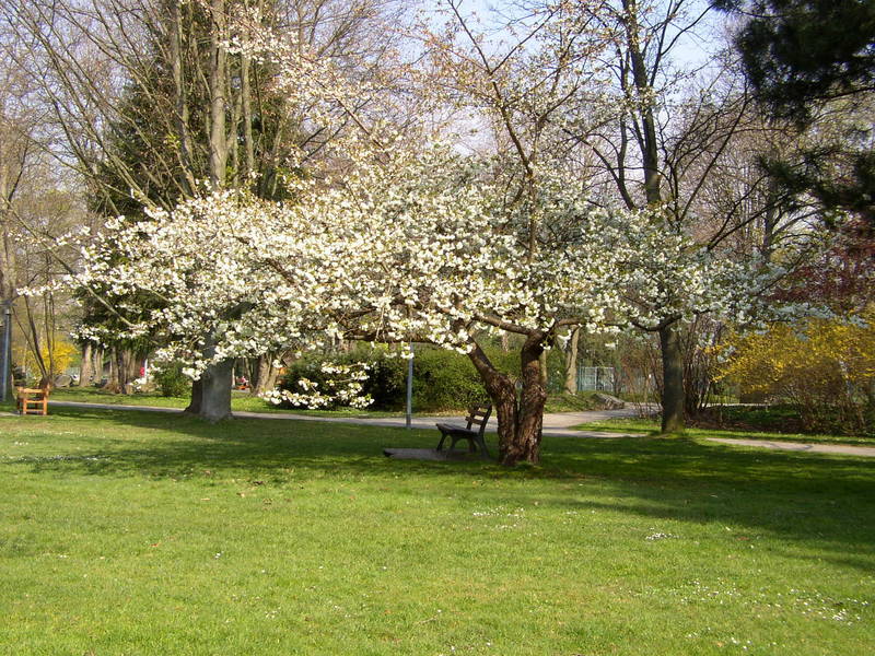 Kurpark Bad Krozingen