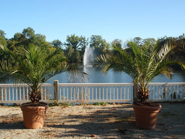 Kurpark Bad Nauheim 3