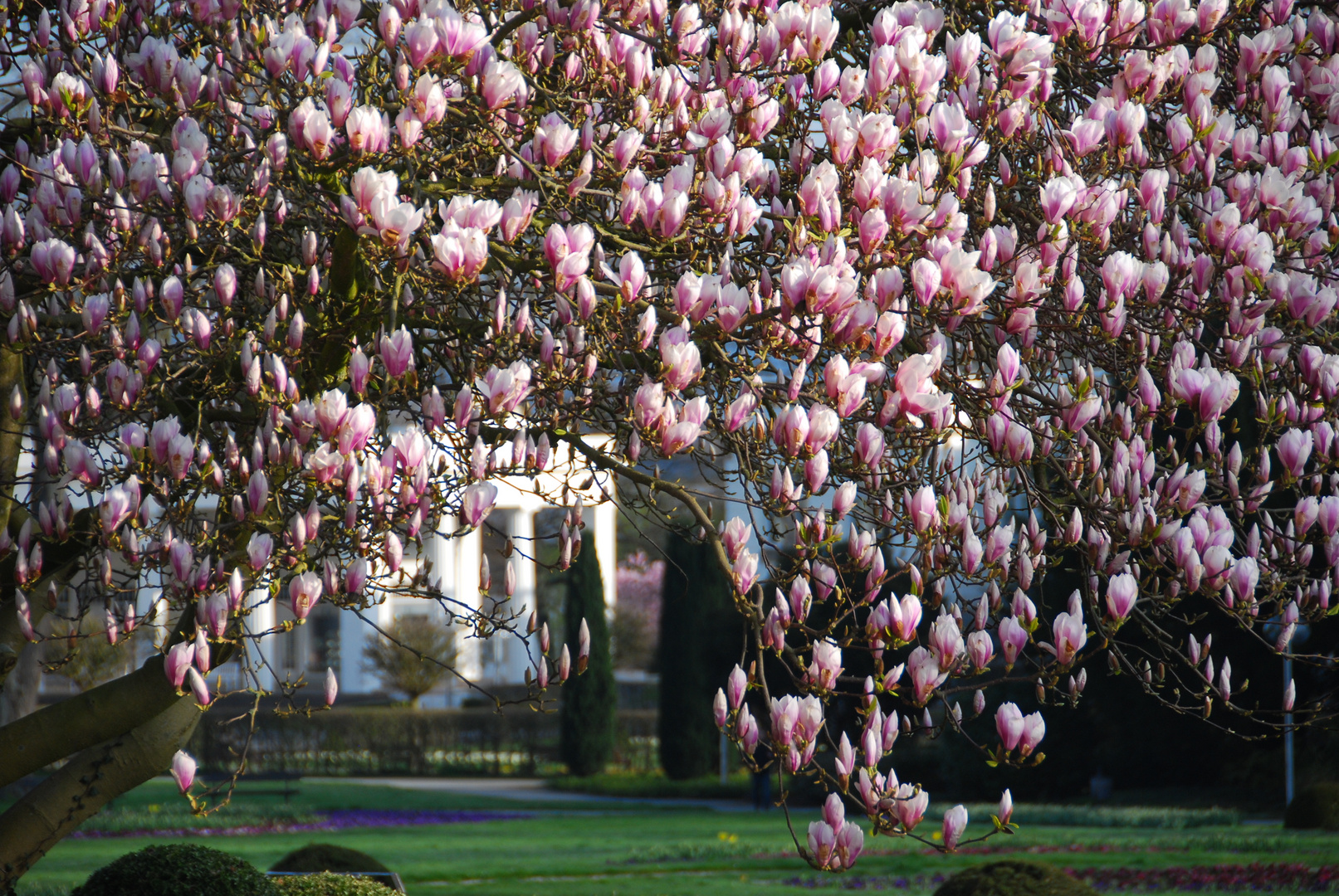 Kurpark Bad Oeynhausen