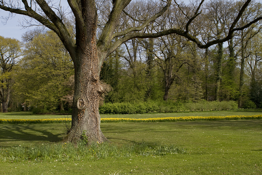 Kurpark Bad Oeynhausen VII