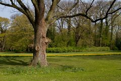 Kurpark Bad Oeynhausen VII