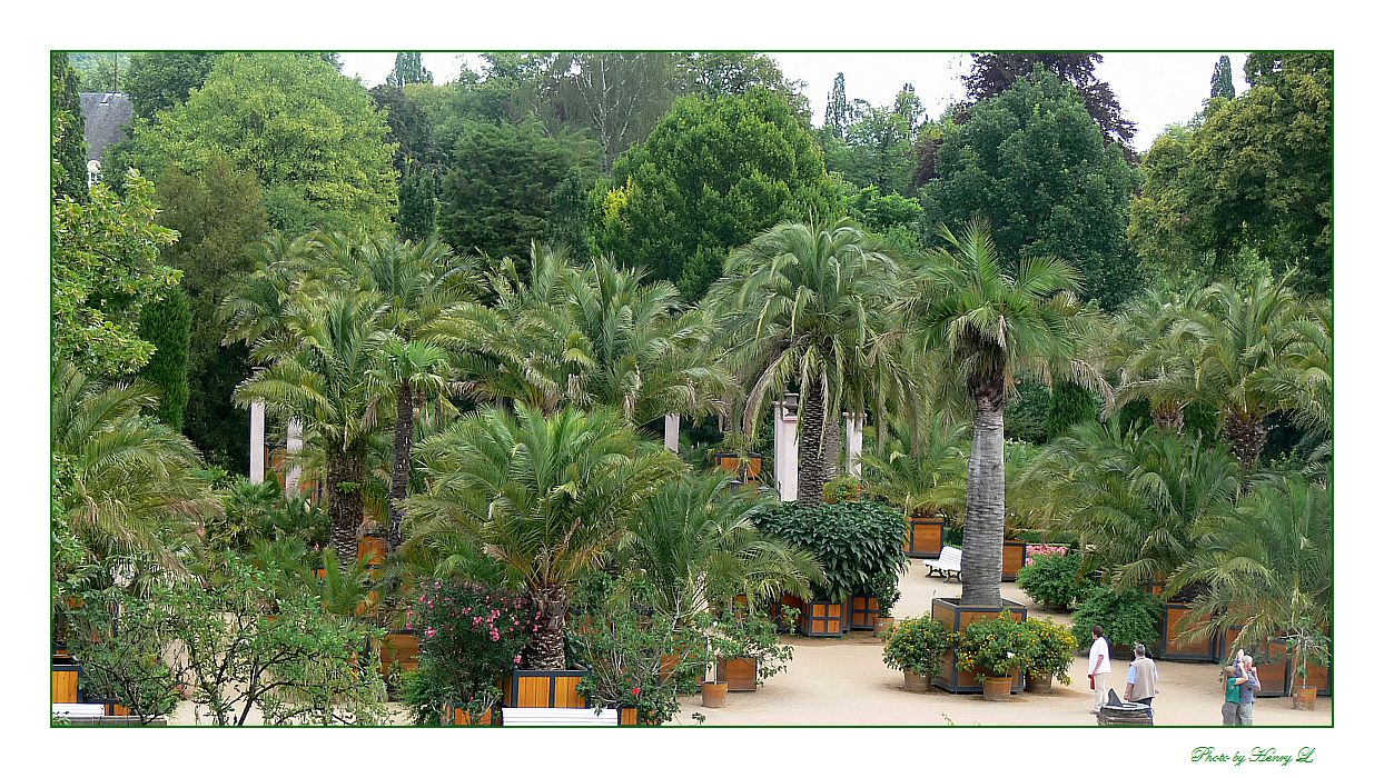 Kurpark Bad Pyrmont Foto & Bild landschaft, garten
