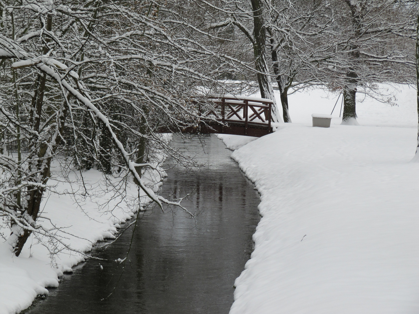 Kurpark-Bad-Salzelmen-2010