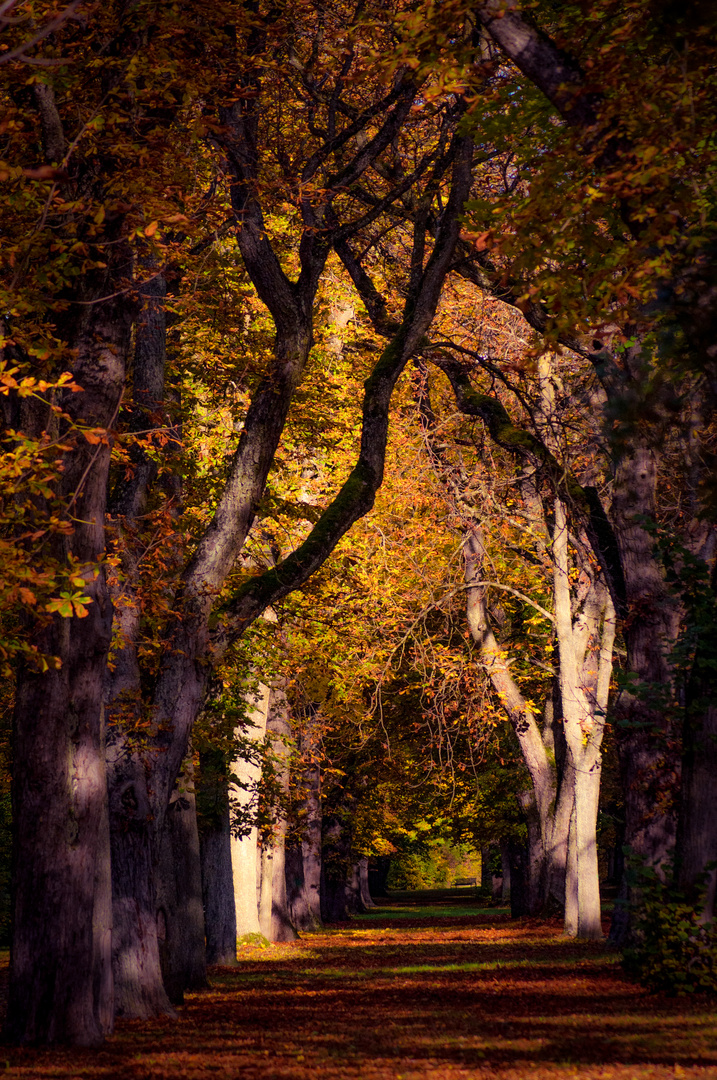 Kurpark Bad Windsheim