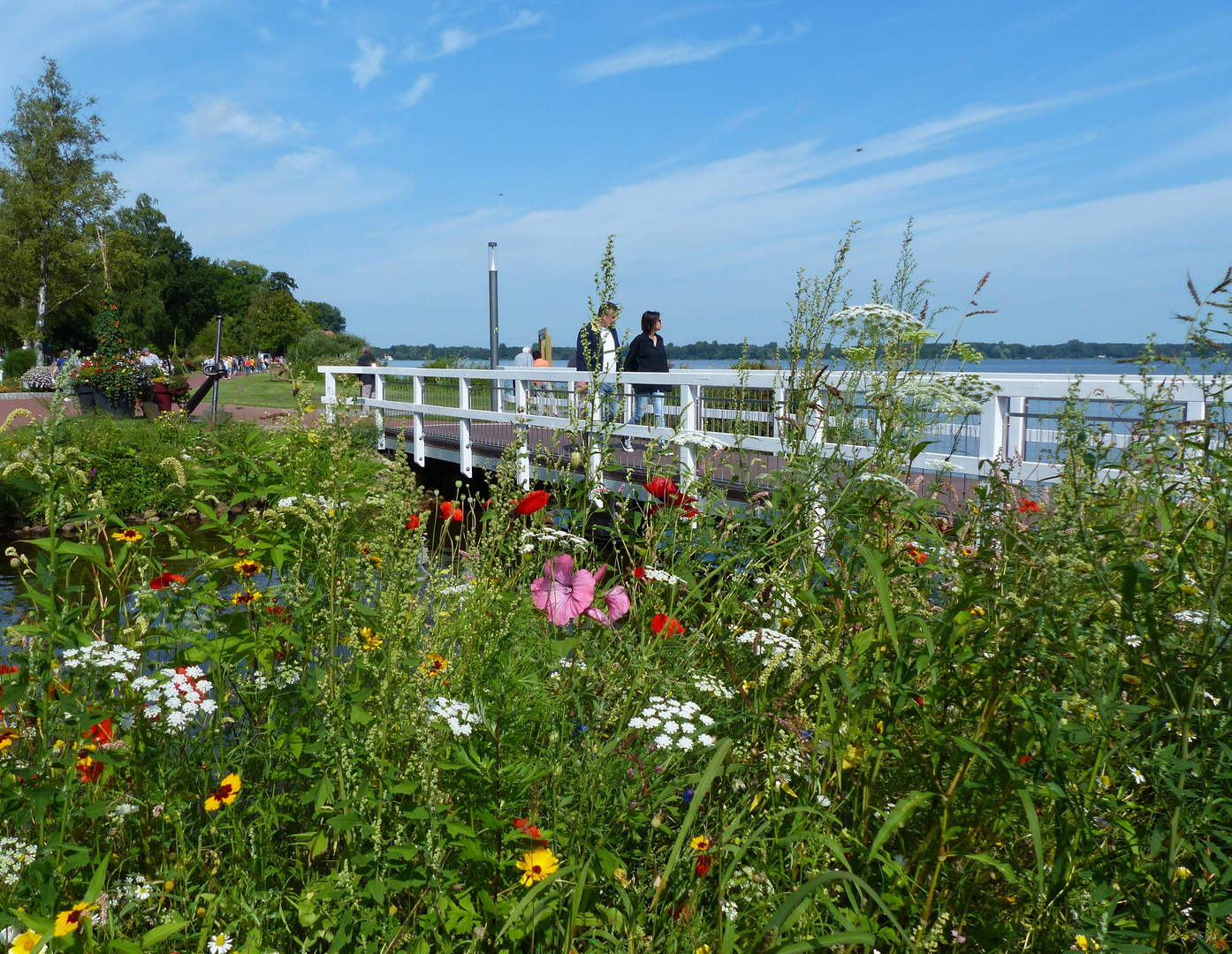 Kurpark Bad Zwischenahn