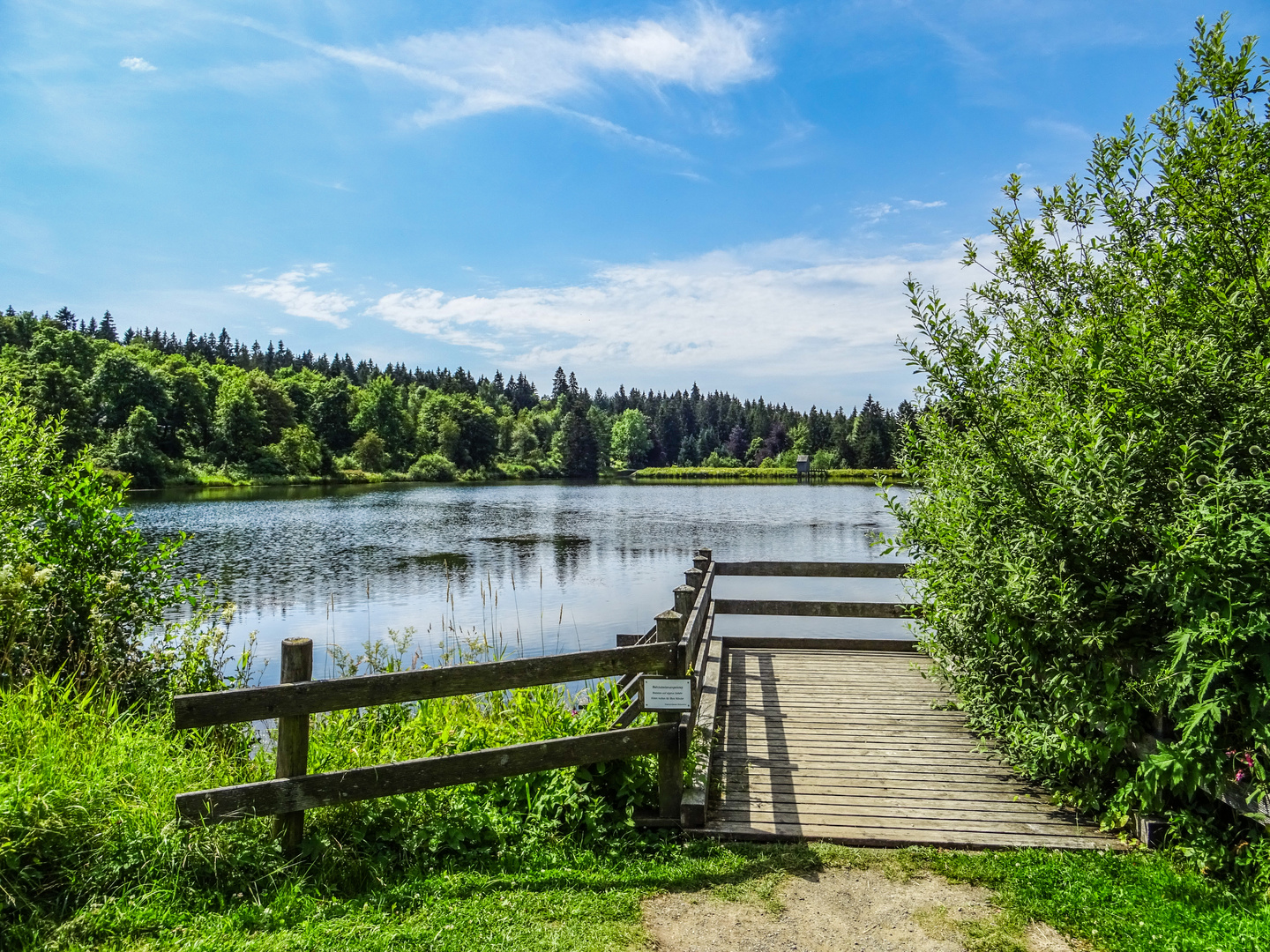 Kurpark Hahnenklee