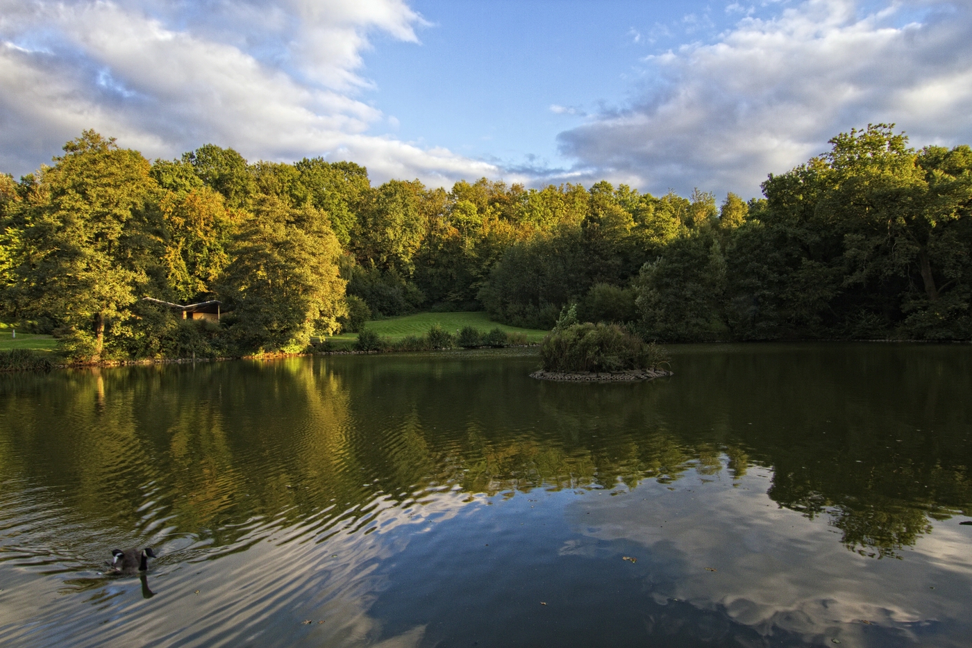 Kurpark "Heilteich"