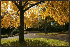 Kurpark im Herbst