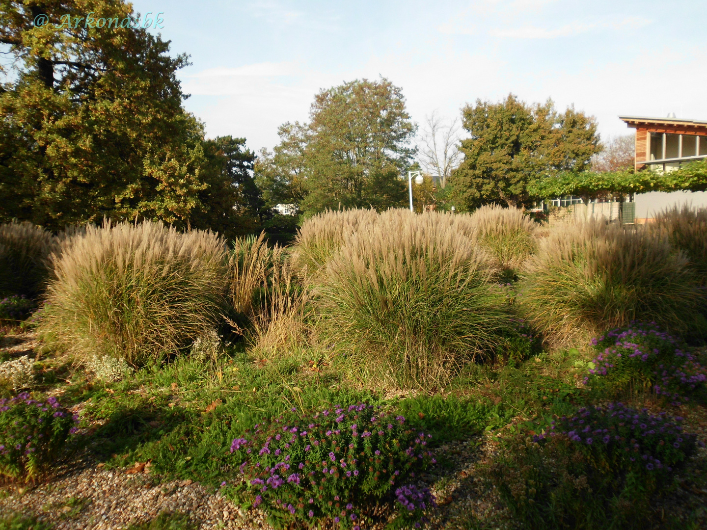 Kurpark im Herbst