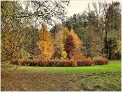 Kurpark im Herbst