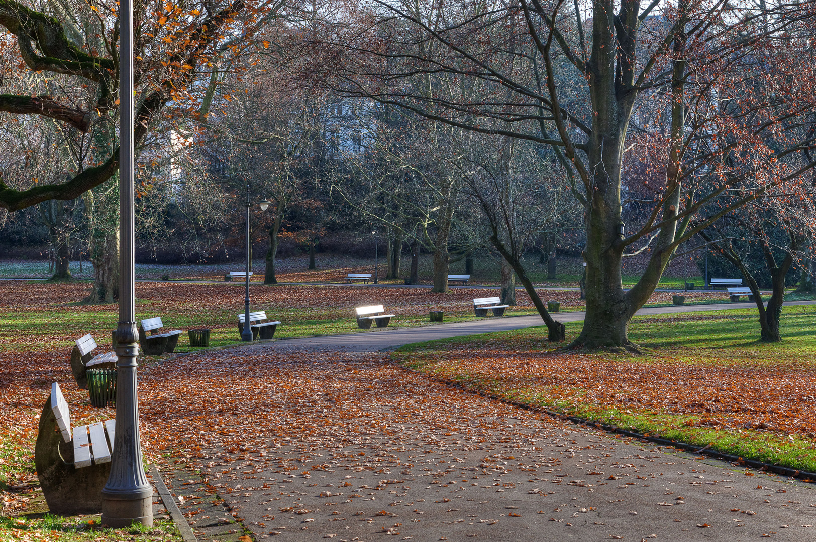 Kurpark im Herbst mit Bänken und Laub, Wiesbaden