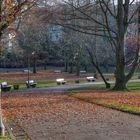 Kurpark im Herbst mit Bänken und Laub, Wiesbaden