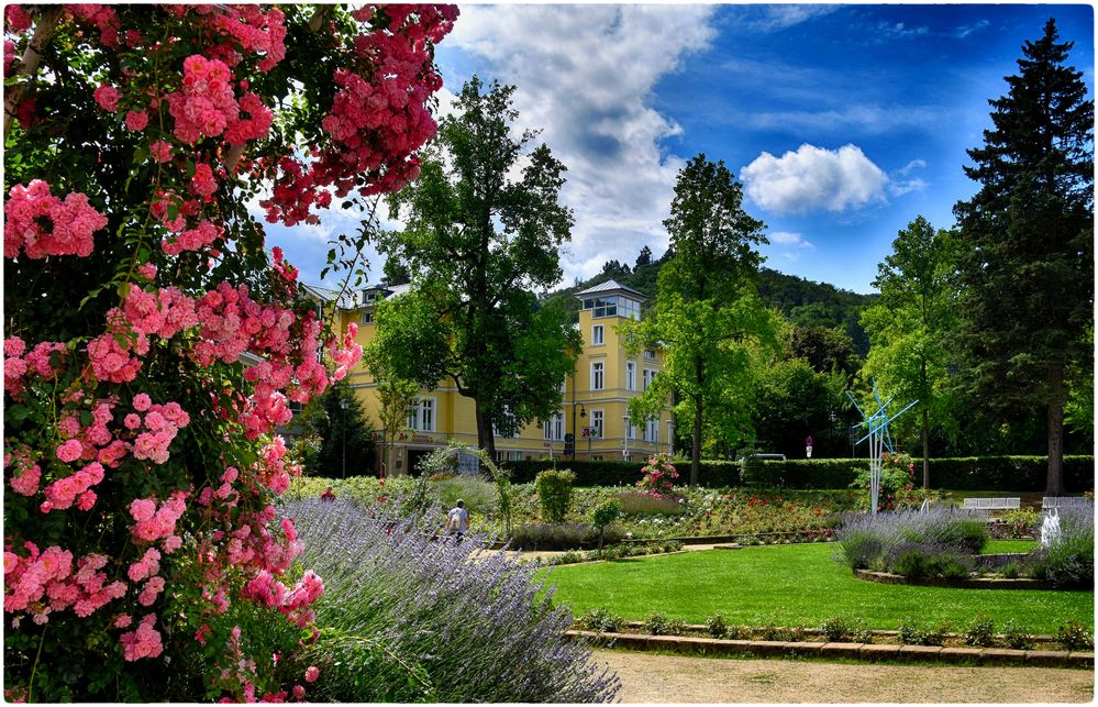 Kurpark in Bad Harzburg Foto & Bild natur, landschaft, garten u