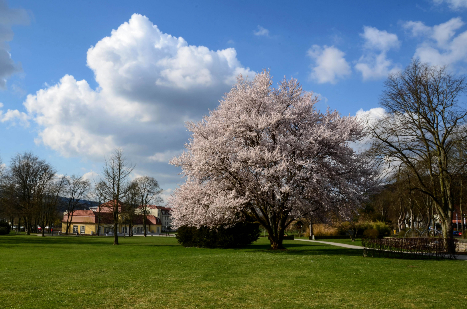 Kurpark in Bad Hersfeld